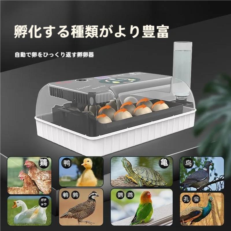 自動孵卵器インキュベーター鳥類専用ふ卵器鶏にわとりウズラあひる鴨