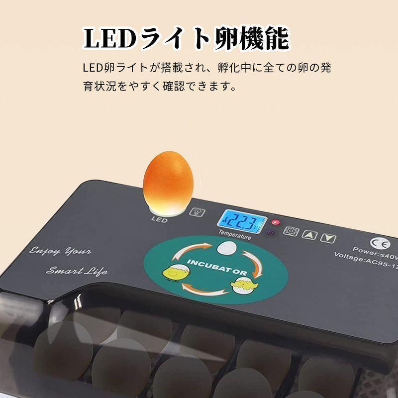 自動孵卵器インキュベーター鳥類専用ふ卵器鶏にわとりウズラあひる鴨