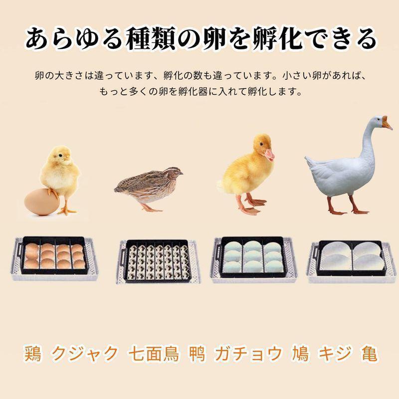 自動孵卵器インキュベーター鳥類専用ふ卵器鶏にわとりウズラあひる鴨 