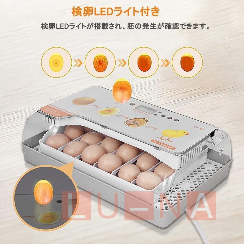 【新品】LED孵卵器 自動転卵／温度湿度調整◎孵化器 うずら・鳩・鶏卵56個対応 globatt-ej_k-098sm
