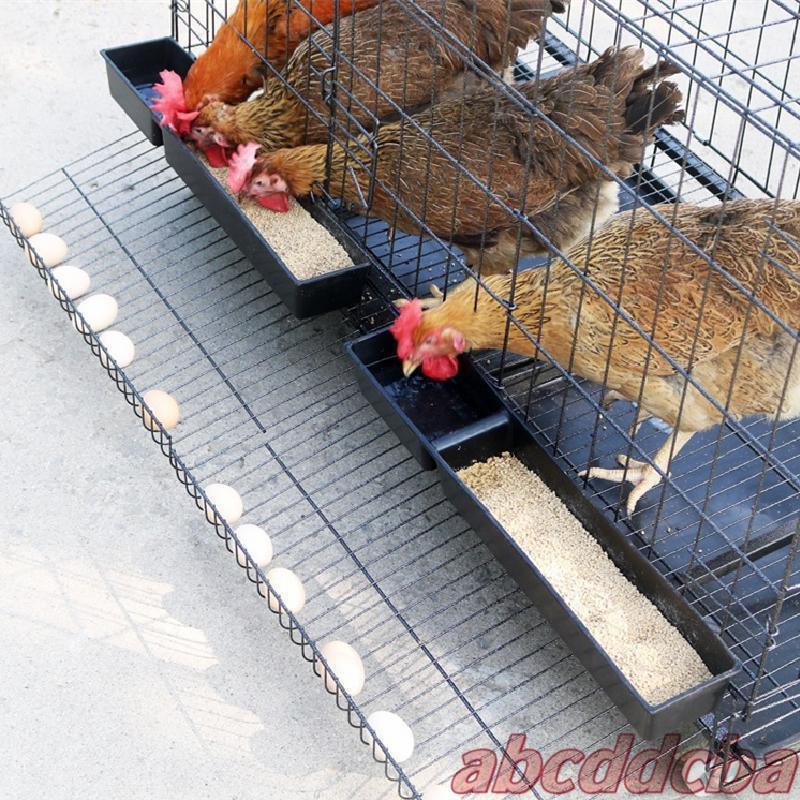 鶏小屋 チキンケージ 折りたたみ自動エッグロールケージトレー 水槽付き 大容量  鶏の飼育ケージ 各サイズ対応 屋外でも室内でも使いやすい_4