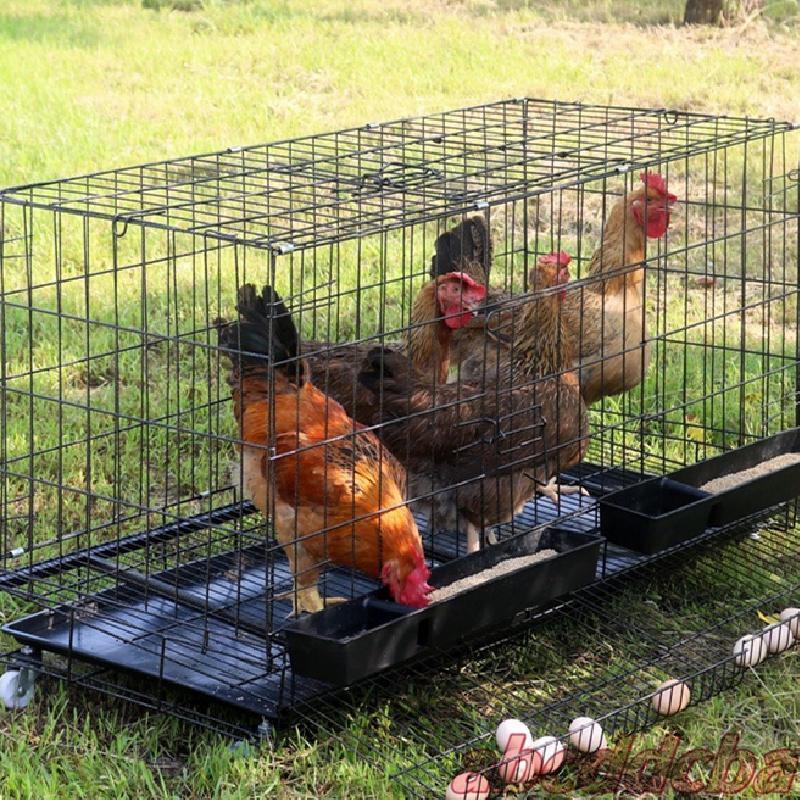 鶏小屋 チキンケージ 折りたたみ自動エッグロールケージトレー 水槽付き 大容量  鶏の飼育ケージ 各サイズ対応 屋外でも室内でも使いやすい_7