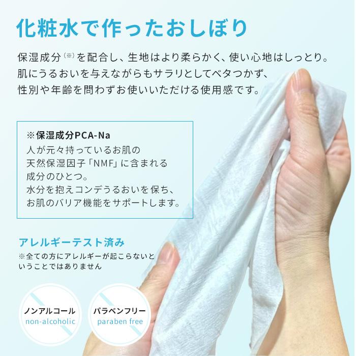 おしぼりページ 抗菌ケース付おしぼり ピクミン／OA5AG_4973307680045／スケーター