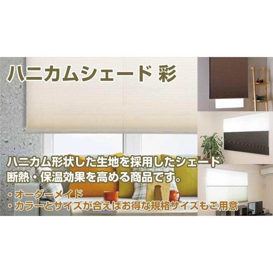プレーンシェード ローマンシェード ハニカムシェード【フルネス 彩