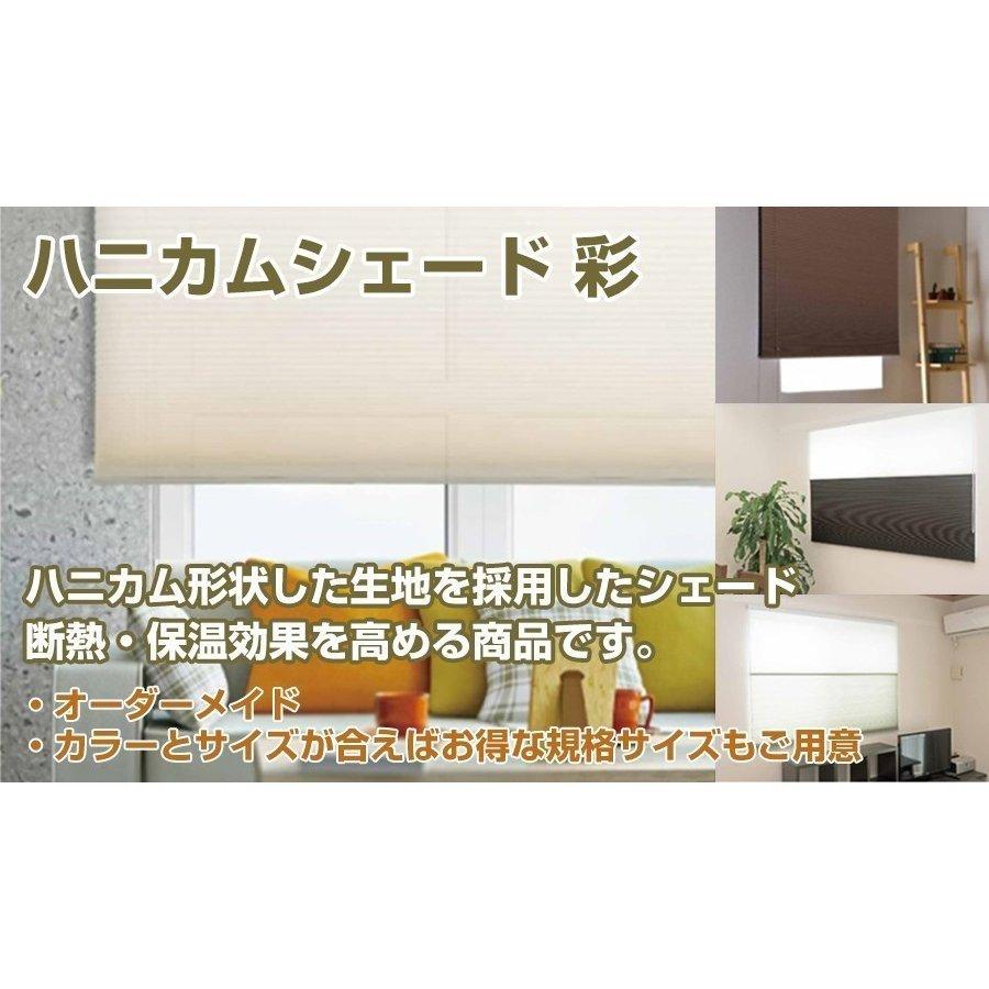 プレーンシェード ローマンシェード ハニカムシェード【フルネス 彩