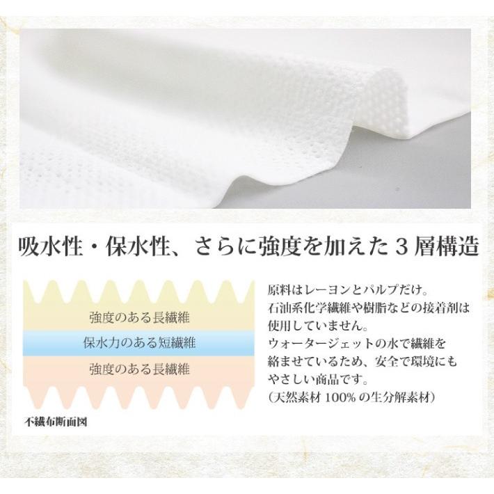 おしぼり 紙おしぼり 「おもてなし紙おしぼり」平型 100本入り