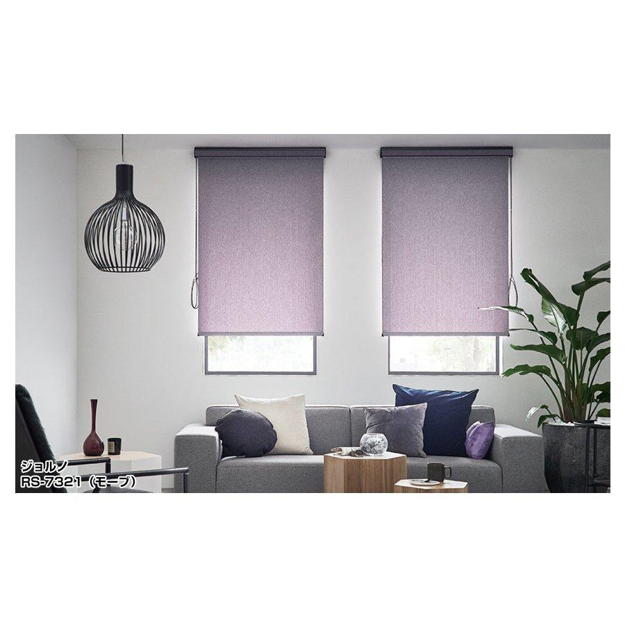 ロールスクリーン ロールカーテン 【ラルクシールド タチカワ