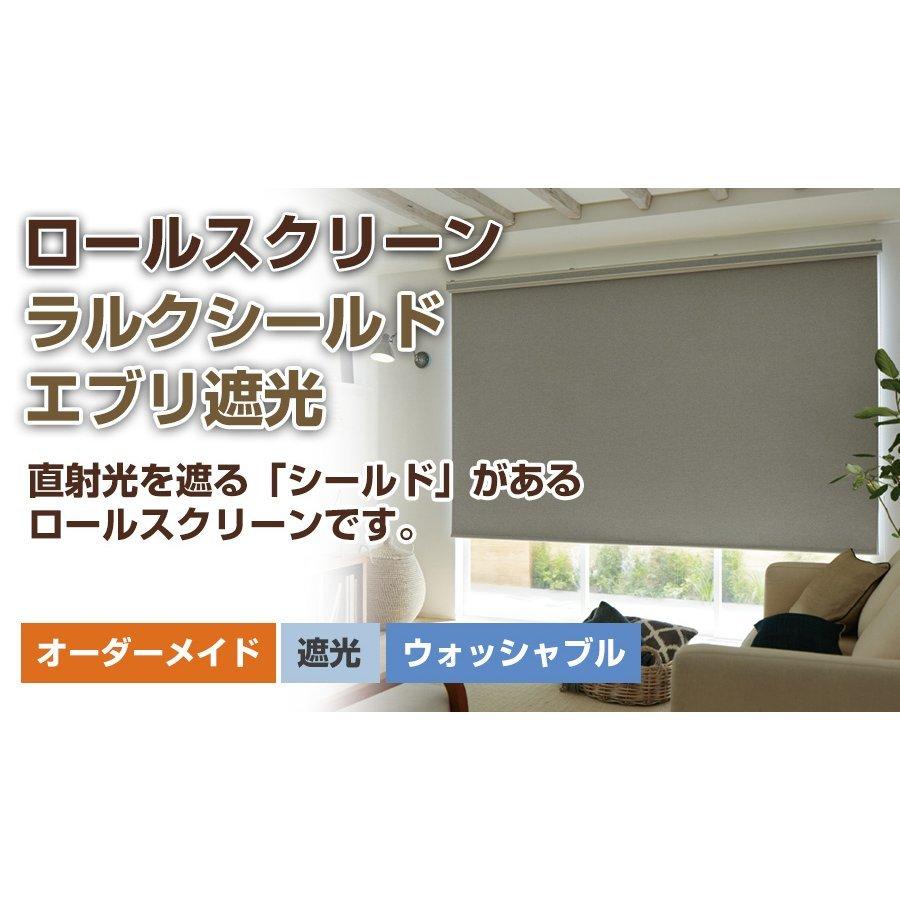 ロールスクリーン ロールカーテン 【ラルクシールド タチカワ ロールスクリーン ロールカーテン 【ラルクシールド タチカワ