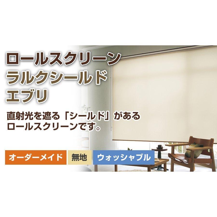 ロールスクリーン ロールカーテン 【ラルクシールド タチカワ