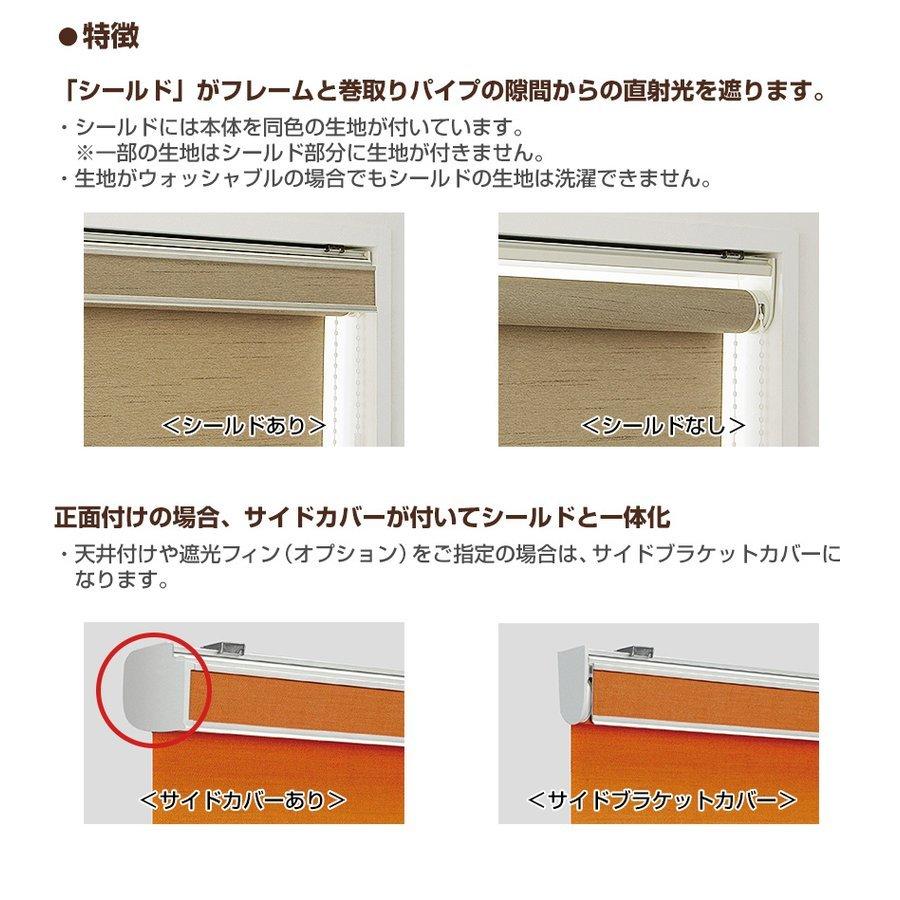 史博物館 ロールスクリーン ロールカーテン 【ラルクシールド