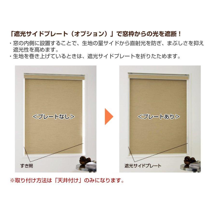 ロールスクリーン ロールカーテン 【ラルクシールド タチカワ ロールスクリーン ロールカーテン 【ラルクシールド タチカワ