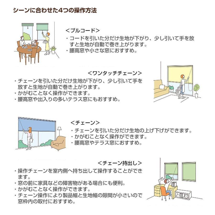 ロールスクリーン ロールカーテン 【ラルクシールド タチカワ ロールスクリーン ロールカーテン 【ラルクシールド タチカワ