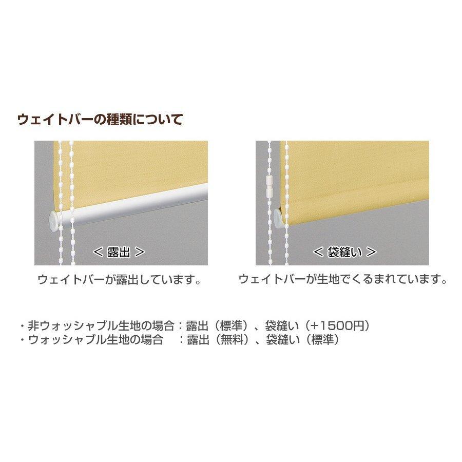 ロールスクリーン ロールカーテン 【ラルクシールド タチカワ ロールスクリーン ロールカーテン 【ラルクシールド タチカワ