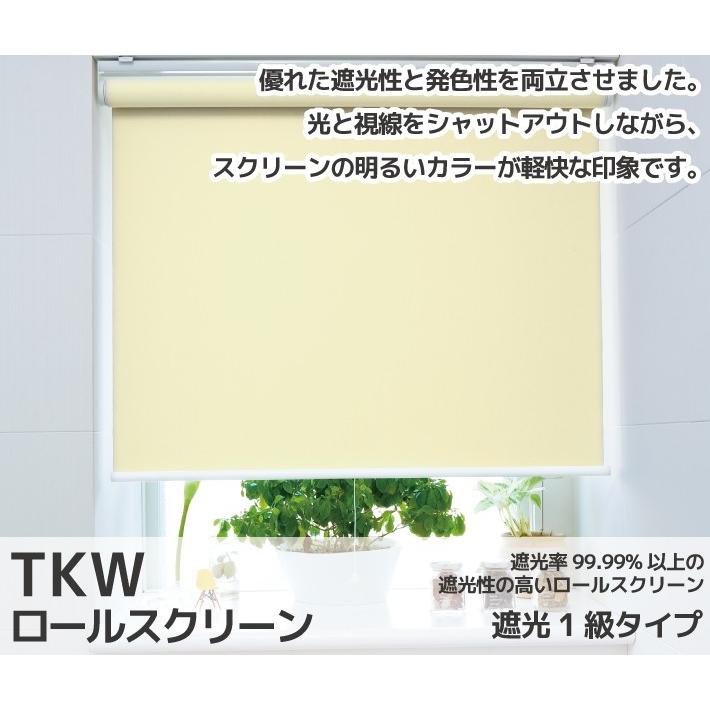 【FIRSTAGE ロールスクリーン 遮光１級タイプ オーダーメイド 幅91〜135ｃｍ　高さ30〜40ｃｍ 015】TKW 立川 送料無料 インテリア 寝具 カーテン｜orsun｜02