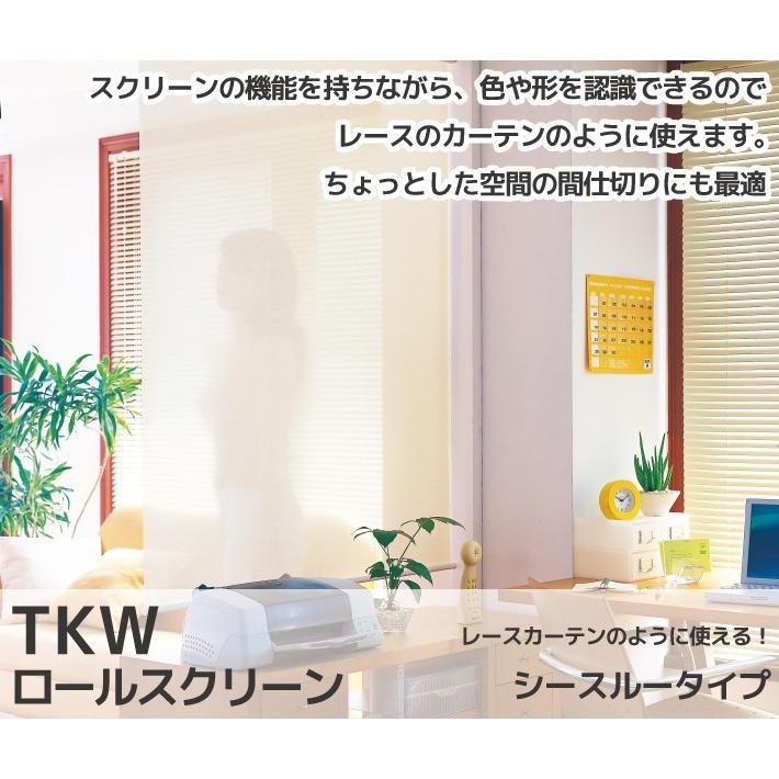 Firstage ロールスクリーン 25 40cm 30 40cm Tkw インテリア オーダーメイド カーテン シースルーウォッシャブルタイプ 寝具 幅 立川 送料無料 高さ 特価商品 シースルーウォッシャブルタイプ