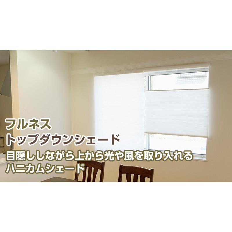 プレーンシェード ローマンシェード ハニカムシェード【トップダウン