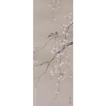掛軸 桜に小禽 北条静香画（掛け軸 尺五立）幅54.5cm×丈190cm 高級風鎮