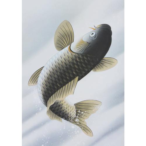 掛軸 鯉の瀧昇り 山崎昭二作（掛け軸 尺五立)幅54.5cm×丈190cm : 大瑠