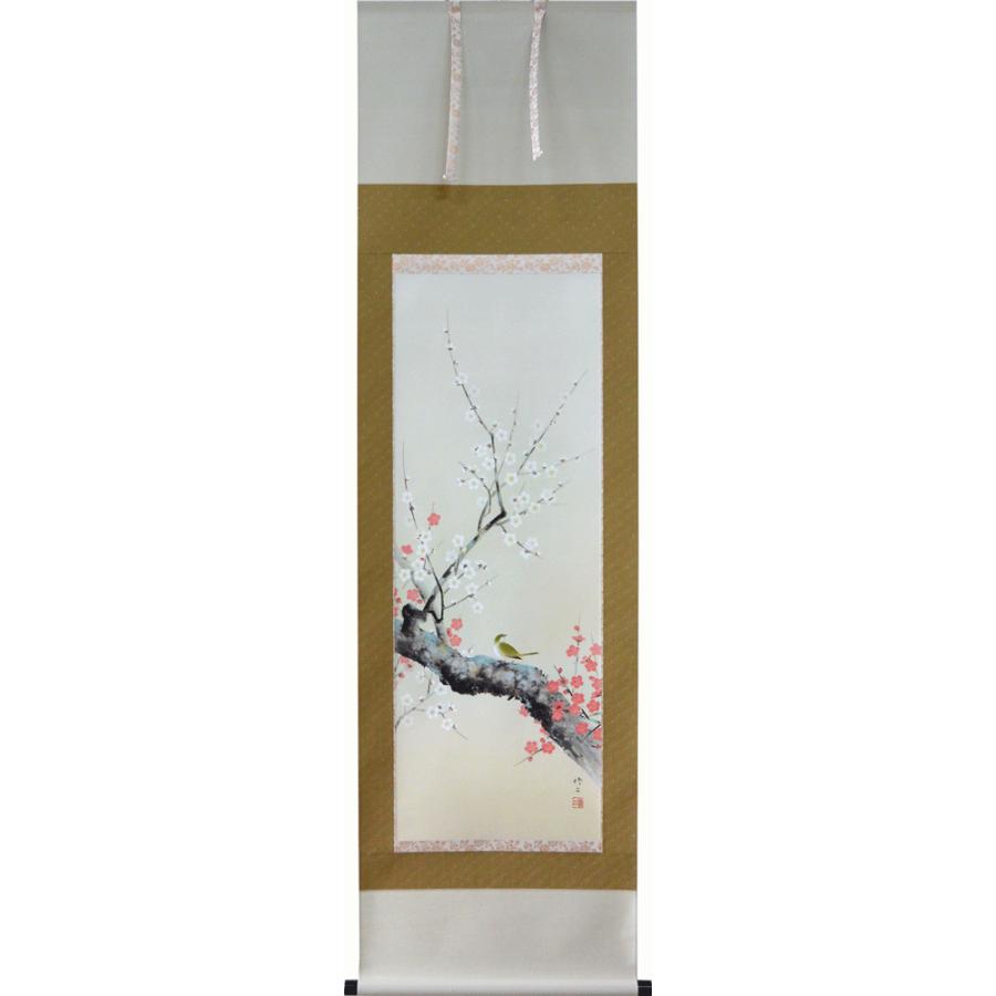 掛軸 紅白梅に鶯 田辺修二作(掛け軸 尺五立)幅54.5cm×丈190cm