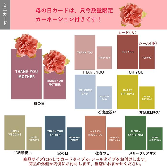 (ギフト) マフラータオル 今治 10枚 AIRY エアリー ラッピング付き 約22×100cm 今治タオル 日本製 スポーツ メンズ レディース ふわふわ 綿100％ 母の日 父の日_17