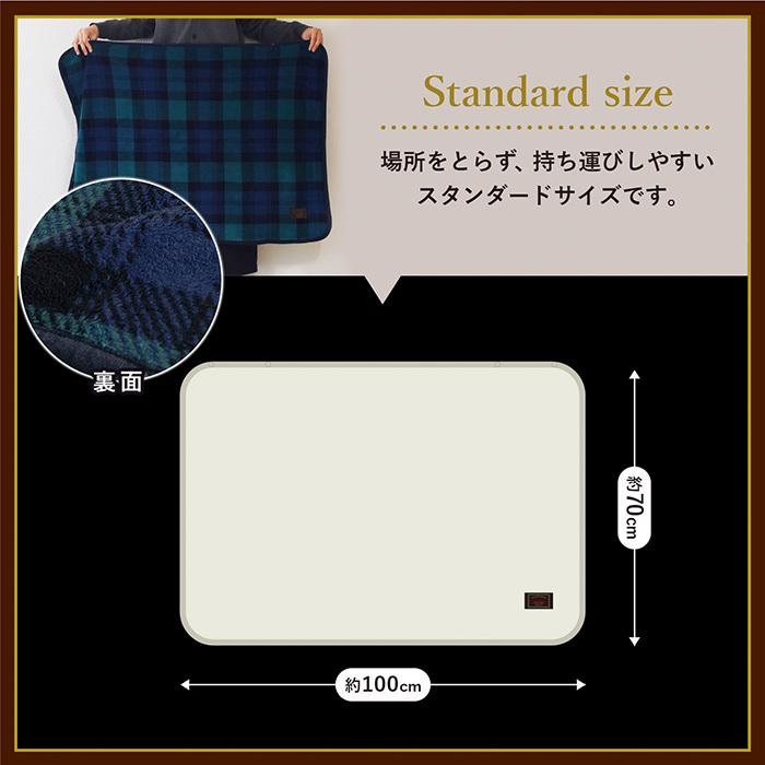 本店は まとめ買い10セット 厚手のマイヤー毛布 シングル ブランケット 膝掛け あったか おしゃれ かわいい 出産祝い 内祝い 結婚内祝い 結婚祝い 引き出物 引っ越し 引越し お中元 お歳暮 新築祝 お返し ご挨拶 ギフト 激安 即納 Titanicgroup Com