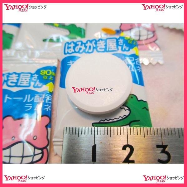 モロッコ産ウミユリ化石】 ウミユリ 化石 棘皮動物 重さ682 g 大きさ