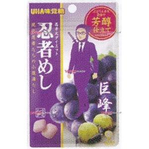 業務用菓子問屋GGxユーハ味覚糖 20G 忍者めし巨峰×10個【a5mad