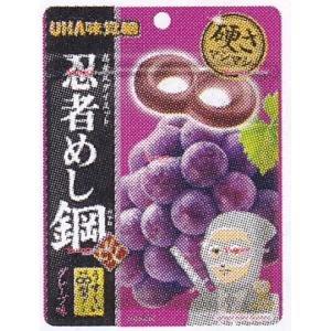 業務用菓子問屋GGxユーハ味覚糖 45G 忍者めし鋼グレープ味×10個
