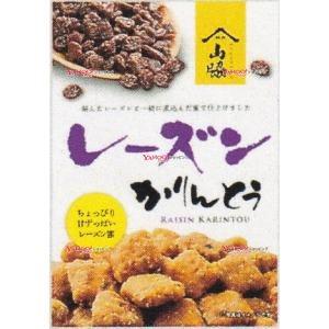 業務用菓子問屋GGx山脇製菓 90G レーズンかりんとう×12個【xecos6