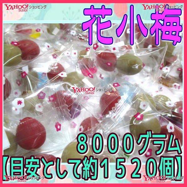 業務用菓子問屋GGヨネヤマ　８０００グラム【目安として約１５２０個】 　 花こうめ ×1袋【fu】【送料無料（沖縄は別途送料）】｜osaka