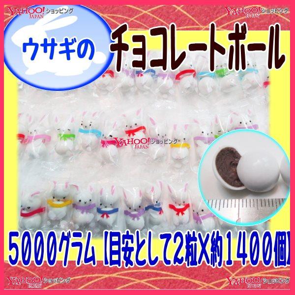 おかし企画　OE石井　５０００グラム【目安として２粒×約１４００個】　 ウサギのチョコレートボール 【チョコ】×1袋【fu】｜osaka