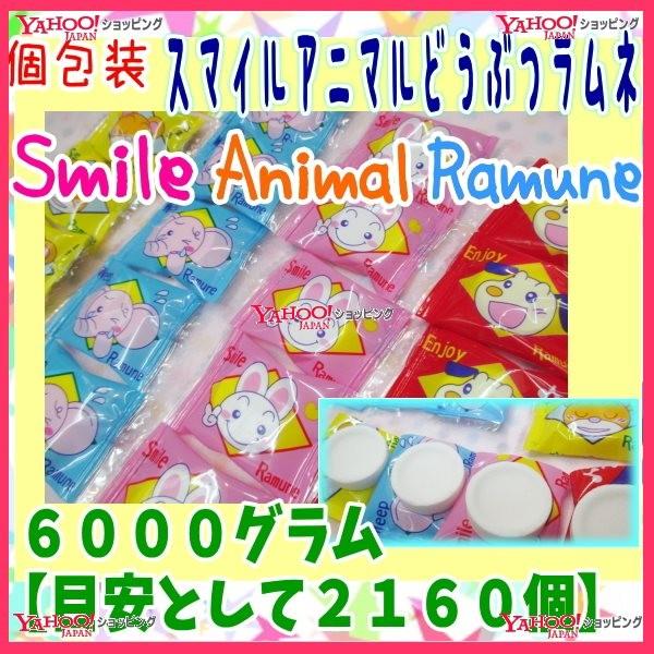 上質で快適 カクダイ製菓 ６０００グラム 目安として約２１６０個 スマイルアニマルどうぶつラムネ 1袋 税 Fu 送料無料 沖縄は別途送料 4944298006000fu スーパー業務用菓子問屋ヤフー店 通販 Yahoo ショッピング 限定価格セール Dp3akb