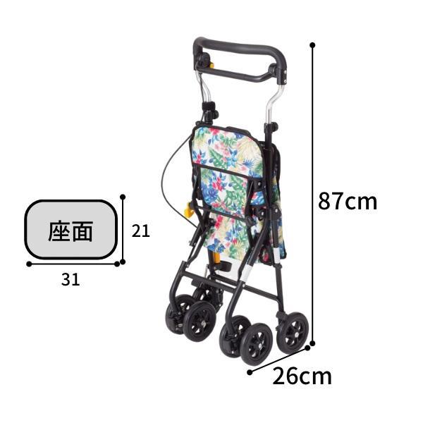 MIYABIさま KA46♥フェデネージュ ボンソワレ♥花苗ポットごと