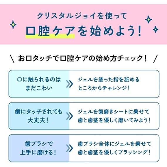アニコム CRYSTAL JOY クリスタルジョイ （犬猫用歯みがきジェル）口腔