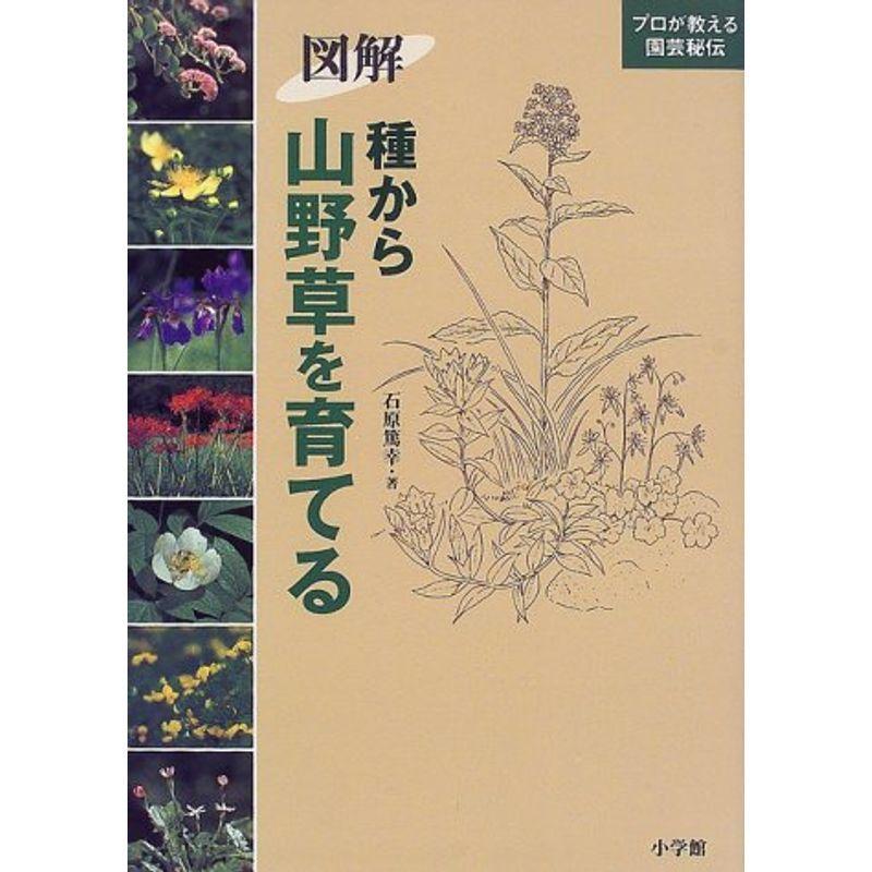 図解 園芸 プロが教える園芸秘伝 usならショッピング ランキングや口コミも豊富なネット通販 更にお得なpaypay残高も スマホアプリも充実で毎日どこからでも気になる商品をその場でお求めいただけます 本 雑誌 コミック 種から山野草を育てる