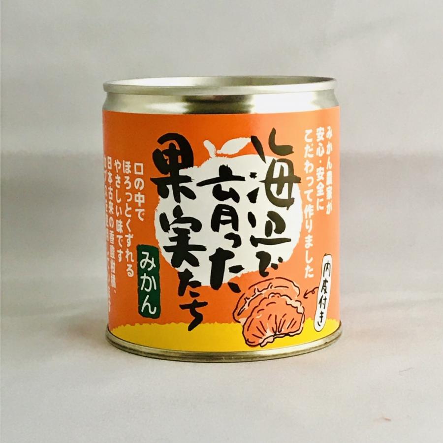 国産みかん缶詰 薬品不使用 無添加 内皮付き みかんジュース入り 06ik010 みのりの里 通販 Yahoo ショッピング
