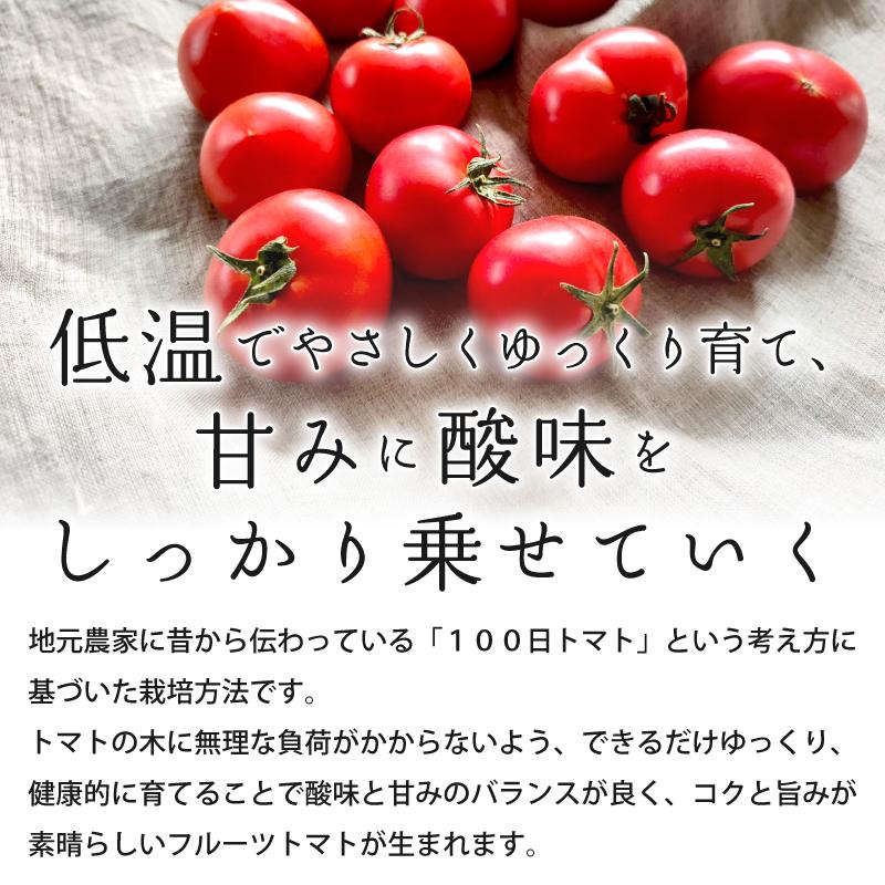 高級フルーツトマトジュース ギフト 高知県産 500ml 1本  フルーツトマト100％ 食塩不使用 ギフトボックス入り 母の日 プレゼント 誕生日｜osakaminori｜05