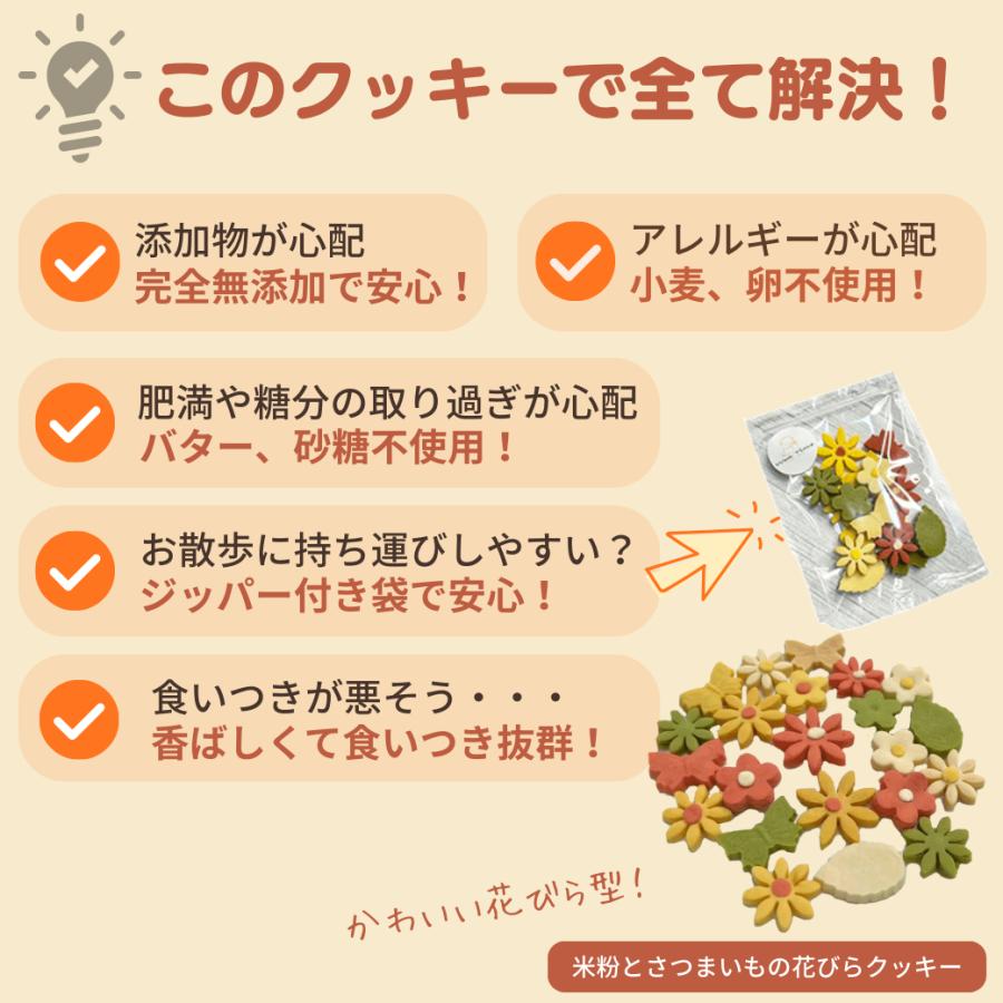 犬おやつ無添加 手作り野菜おからクッキー組み合わせ自由400g osakaminori_12wt10