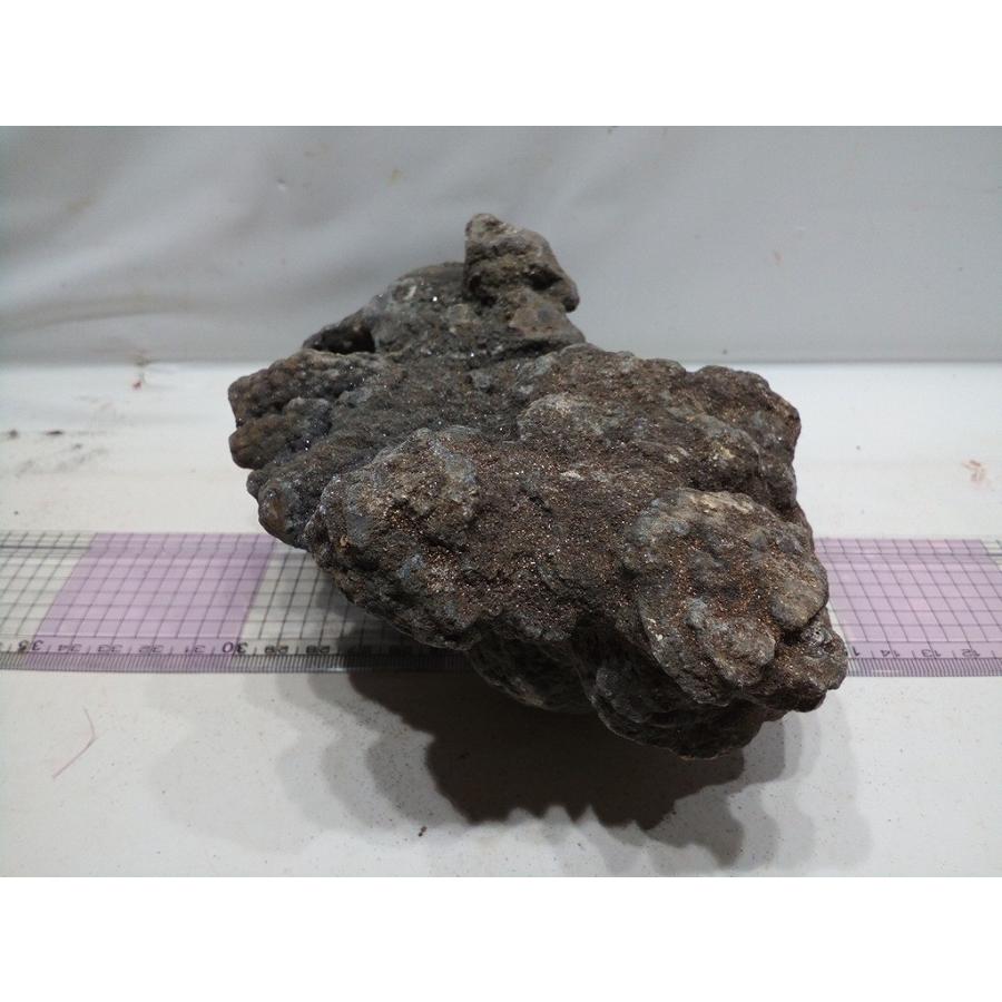 暗黒石 Lサイズ ｃｍ 一点もの Anl02 お魚倉庫 通販 Yahoo ショッピング