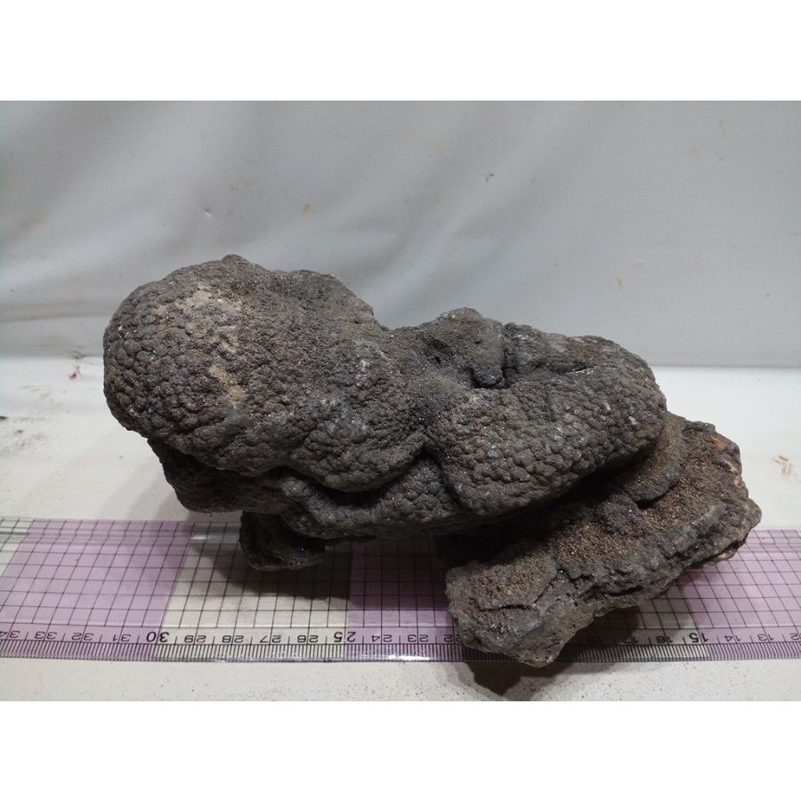 暗黒石 Lサイズ ｃｍ 一点もの Anl02 お魚倉庫 通販 Yahoo ショッピング