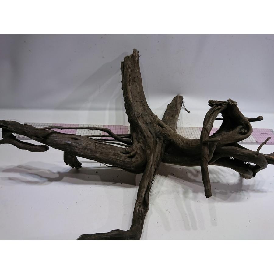 枝流木グレーブランチ Llサイズ 40cm 一点もの Grll01 お魚倉庫 通販 Yahoo ショッピング