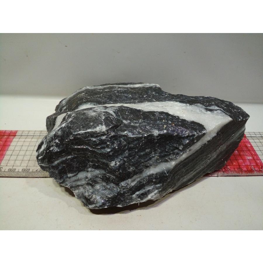 黒光石 コッコウセキ 15ｃｍ前後一点もの Ko02 お魚倉庫 通販 Yahoo ショッピング