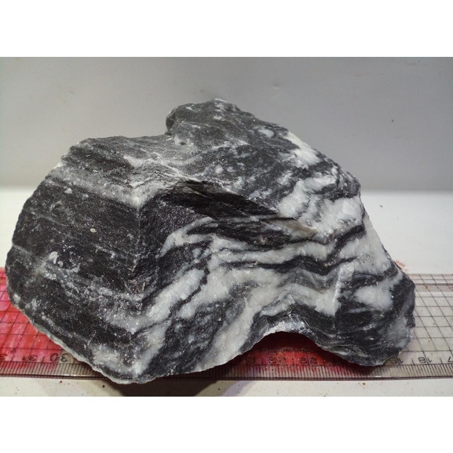 黒光石 コッコウセキ 12ｃｍ前後一点もの Ko09 お魚倉庫 通販 Yahoo ショッピング