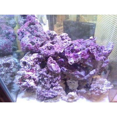 ライブロック Aグレード 石灰藻付き 1ｋｇ Liverocka1 お魚倉庫 通販 Yahoo ショッピング