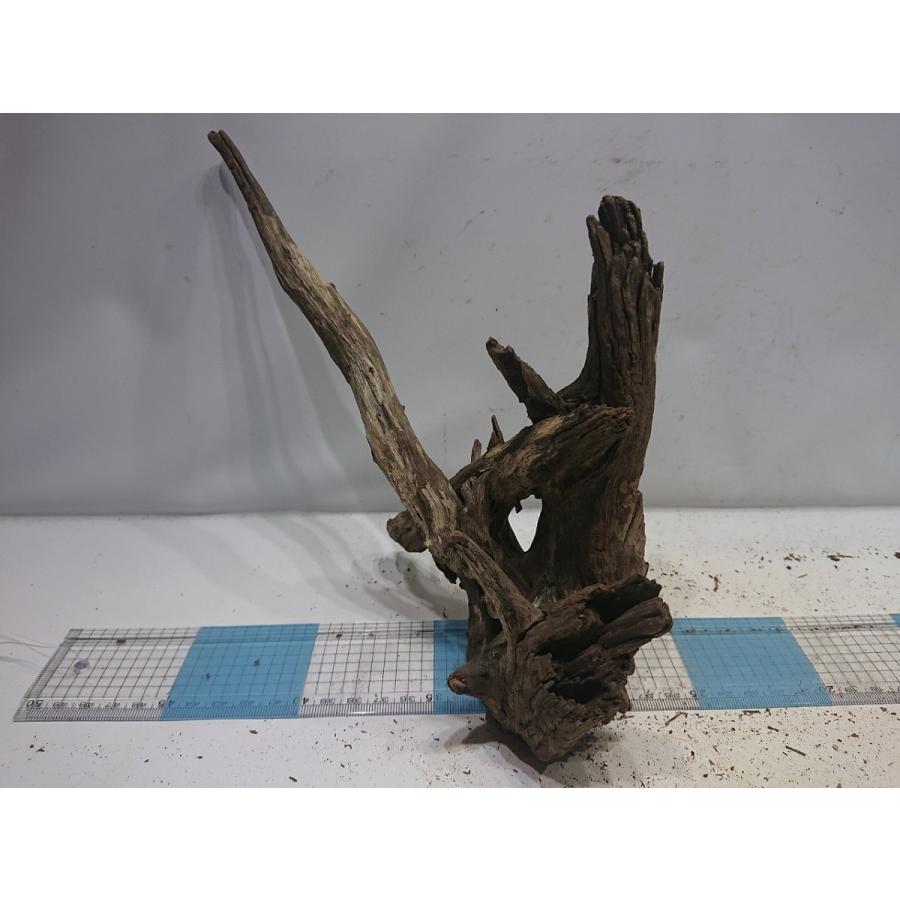 新品未使用正規品 ソネケミファ ブラックホーン L Qdtek Vn