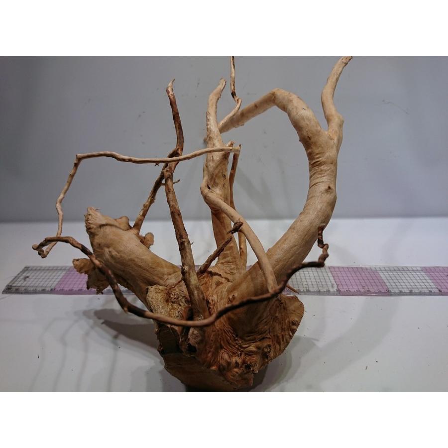 枝流木 ホワイトブランチウッド Llサイズ 35cm 一点もの Rbewbll08 お魚倉庫 通販 Yahoo ショッピング