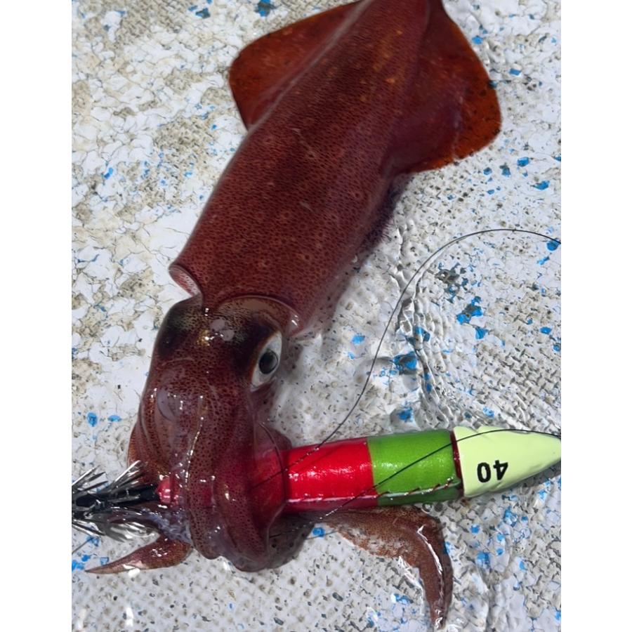 KMY-1574 鉛スッテ 25号 イカメタル : おさかな侍 - 通販