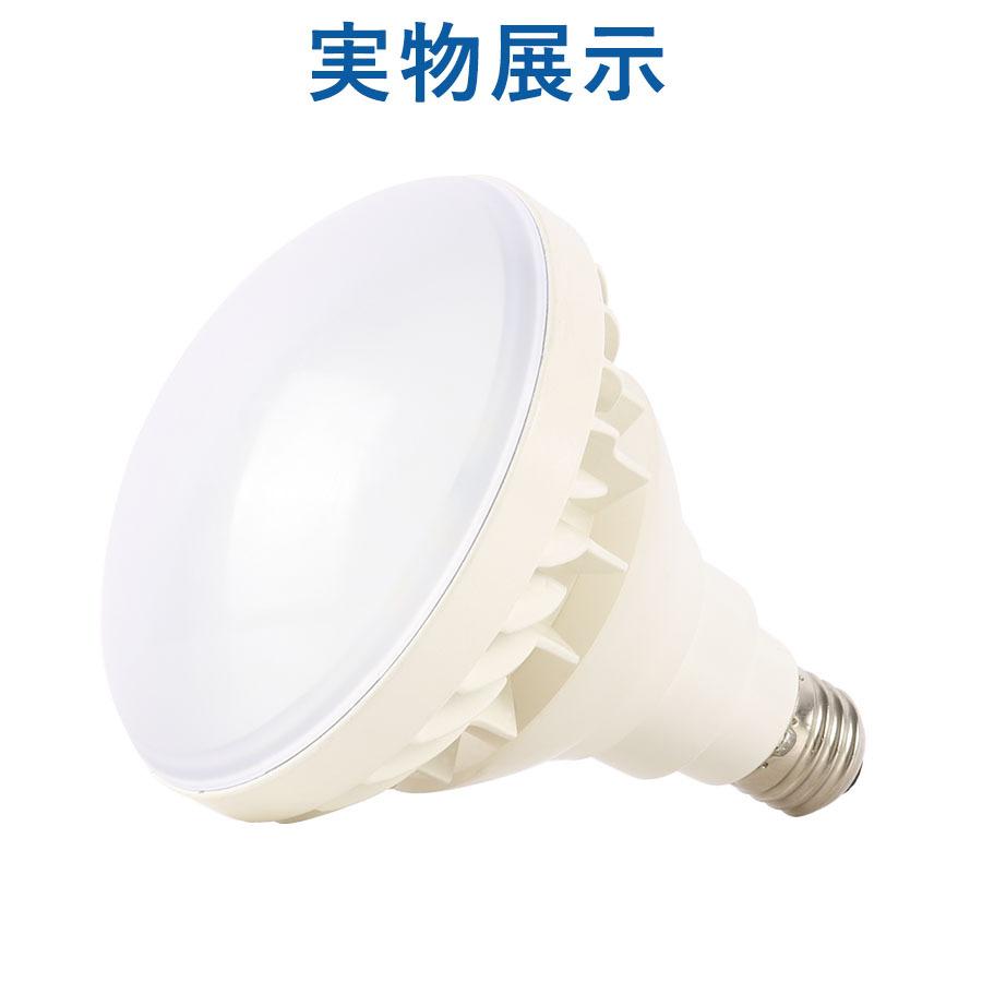 LEDバラストレス水銀灯 PAR38 25W 250W~300W相当 E26 5000lm IP65防水