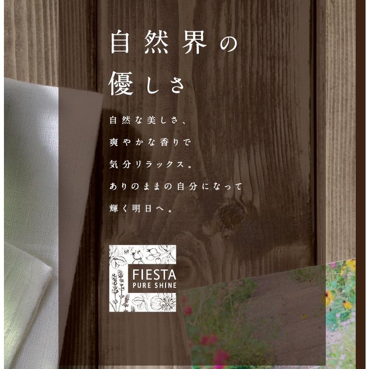 花王 フィエスタ ピュアシャイン リンスインシャンプー 10ｌ 業務用 1199 洗剤屋 Com ヤフー店 通販 Yahoo ショッピング