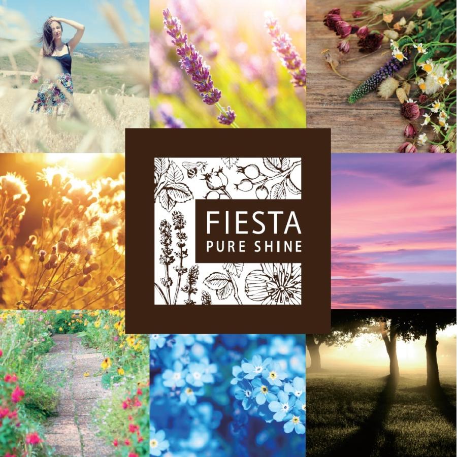 花王 フィエスタ ピュアシャイン リンスインシャンプー 10l 業務用 1199 洗剤屋 Com ヤフー店 通販 Yahoo ショッピング